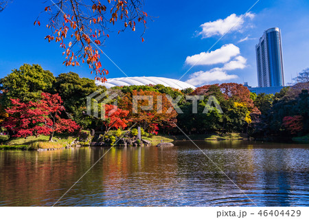 （東京都）小石川後楽園　紅葉 46404429