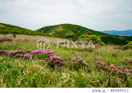 猟師岳　登山道 46404557