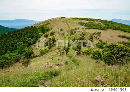猟師岳　登山道 46404563