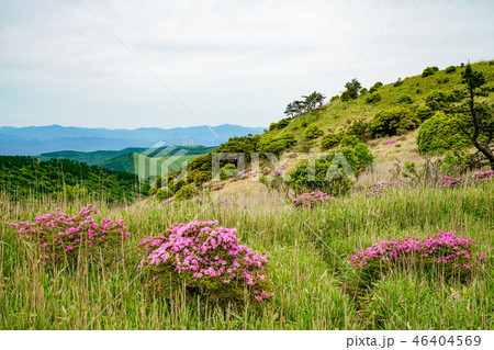 猟師岳　登山道 46404569