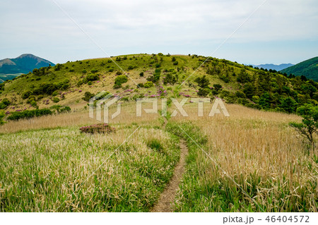 猟師岳 登山道 猟師岳 登山道 46404572