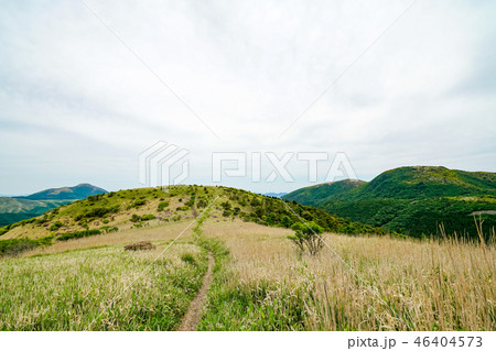 猟師岳　登山道 46404573