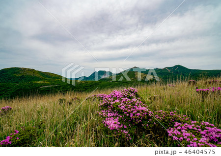 猟師岳 登山道 猟師岳 登山道 46404575