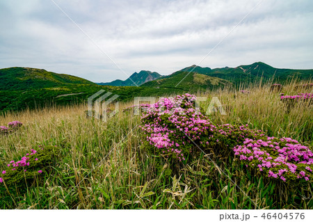 猟師岳　登山道 46404576