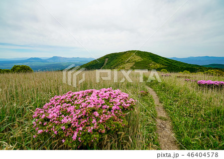 猟師岳　登山道 46404578