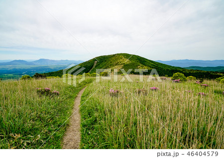 猟師岳　登山道 46404579