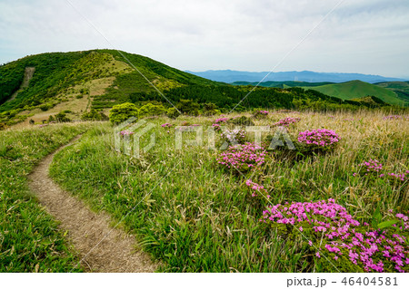 猟師岳 登山道 猟師岳 登山道 46404581