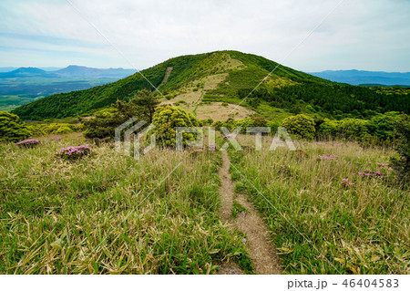 猟師岳　登山道 46404583
