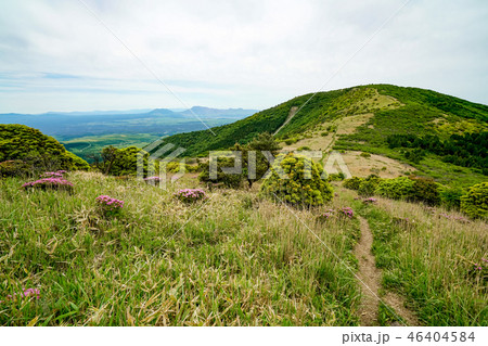 猟師岳 登山道 猟師岳 登山道 46404584