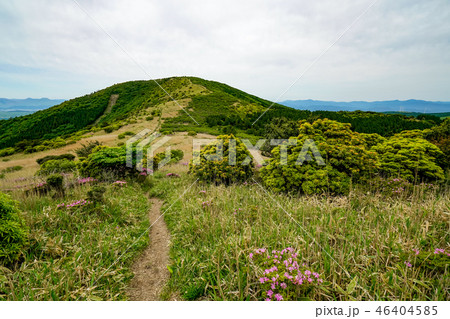 猟師岳　登山道 46404585