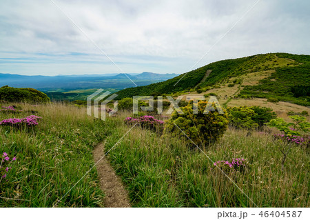 猟師岳　登山道 46404587