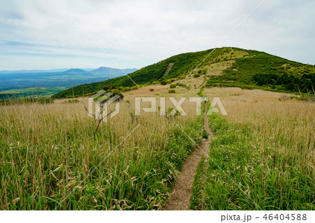 猟師岳 登山道 猟師岳 登山道 46404588