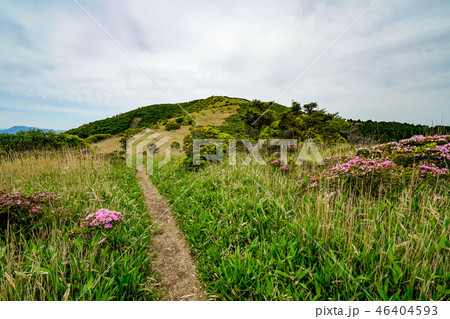 猟師岳　登山道 46404593