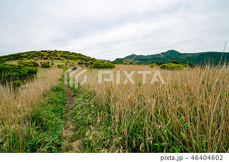 猟師岳　登山道 46404602