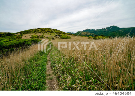 猟師岳　登山道 46404604