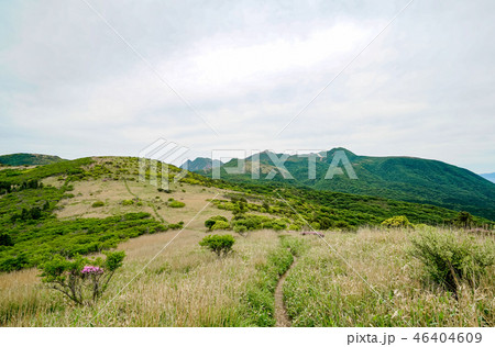 猟師岳 登山道 猟師岳 登山道 46404609