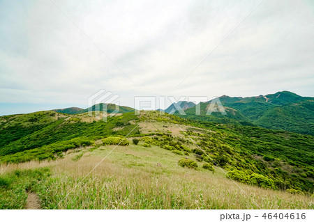 猟師岳　登山道 46404616