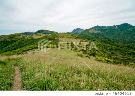 猟師岳　登山道 46404618