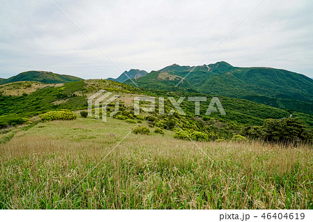 猟師岳 登山道 猟師岳 登山道 46404619