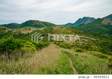 猟師岳　登山道 46404621