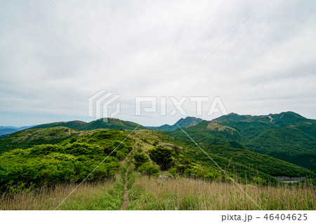 猟師岳　登山道 46404625