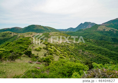 猟師岳　登山道 46404627