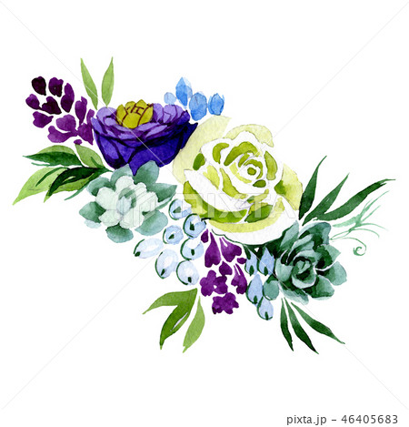 Succulent and rose bouquet flowers. Watercolor background illustration set. Isolated bouquet 46405683