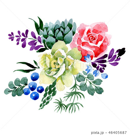 Succulent and rose bouquet flowers. Watercolor background illustration set. Isolated bouquet Succulent and rose bouquet flowers. Watercolor background illustration set. Isolated bouquet 46405687