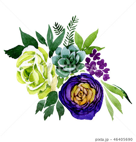 Succulent and rose bouquet flowers. Watercolor background illustration set. Isolated bouquet 46405690