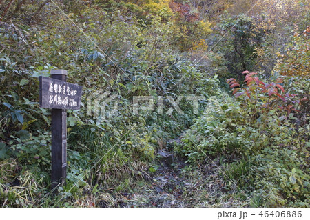 紅葉の谷川岳にて(マチガ沢出合・道しるべ) 紅葉の谷川岳にて(マチガ沢出合・道しるべ) 46406886