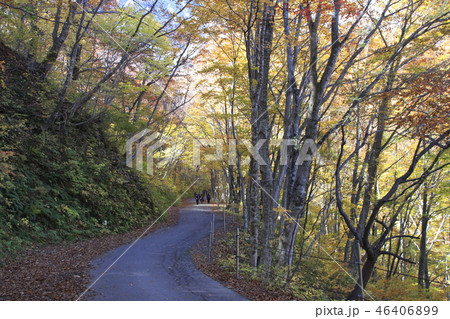 紅葉の谷川岳にて(ベースプラザ→マチガ沢出合) 紅葉の谷川岳にて(ベースプラザ→マチガ沢出合) 46406899