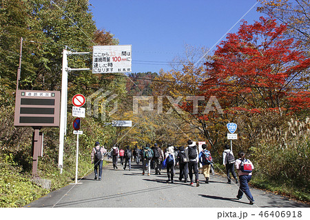 紅葉の谷川岳にて(谷川岳山岳資料館付近の上り坂) 紅葉の谷川岳にて(谷川岳山岳資料館付近の上り坂) 46406918