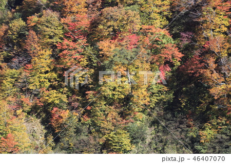 紅葉の谷川岳にて 46407070