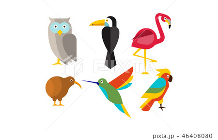 Birds set, owl, flamingo, parrot, hummingbird, toucan, kiwi vector Illustration 46408080