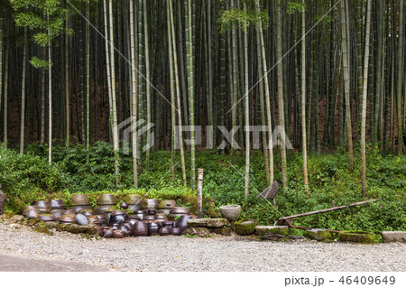 ジュクノクウォン お粥 木 46409649