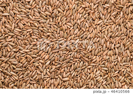 Natural rye grains background 46410566