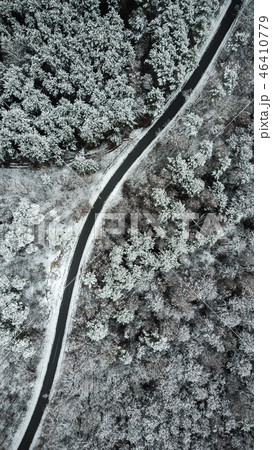Country road through the beautiful snow covered  46410779
