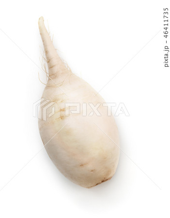 Top view of fresh daikon radish 46411735