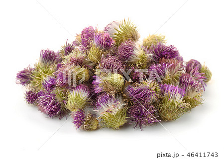 Pile of dried cotton thistle flowers Pile of dried cotton thistle flowers 46411743
