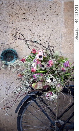 パリの街角　アネモネ　苔木　ブーケ　左岸　花束 46413051