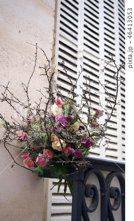 パリの街角　アネモネ　苔木　ブーケ　左岸　花束 46413053