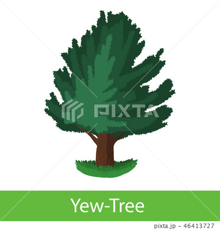 Yew-Tree cartoon icon Yew-Tree cartoon icon 46413727