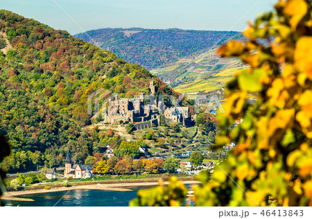 Reichenstein Castle in the Rhine Gorge, Germany Reichenstein Castle in the Rhine Gorge, Germany 46413843