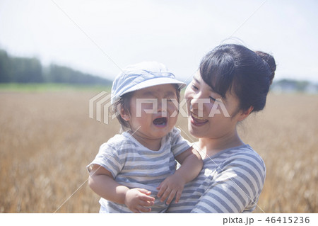 麦畑の親子 麦畑の親子 46415236