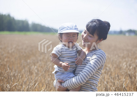 麦畑の親子 46415237