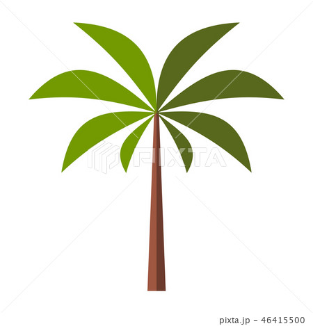 Palm tree flat icon 46415500