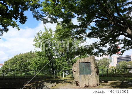 盛岡城跡公園（岩手公園）の石川啄木歌碑 46415501