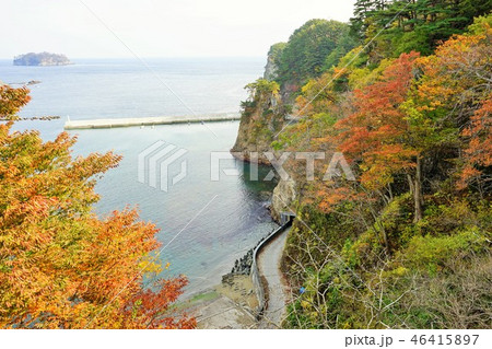 三陸ジオパーク秋の浄土ヶ浜 46415897