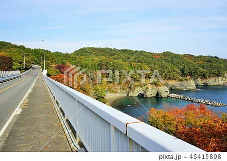 三陸ジオパーク秋の浄土ヶ浜 三陸ジオパーク秋の浄土ヶ浜 46415898