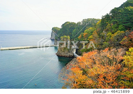 三陸ジオパーク秋の浄土ヶ浜 三陸ジオパーク秋の浄土ヶ浜 46415899